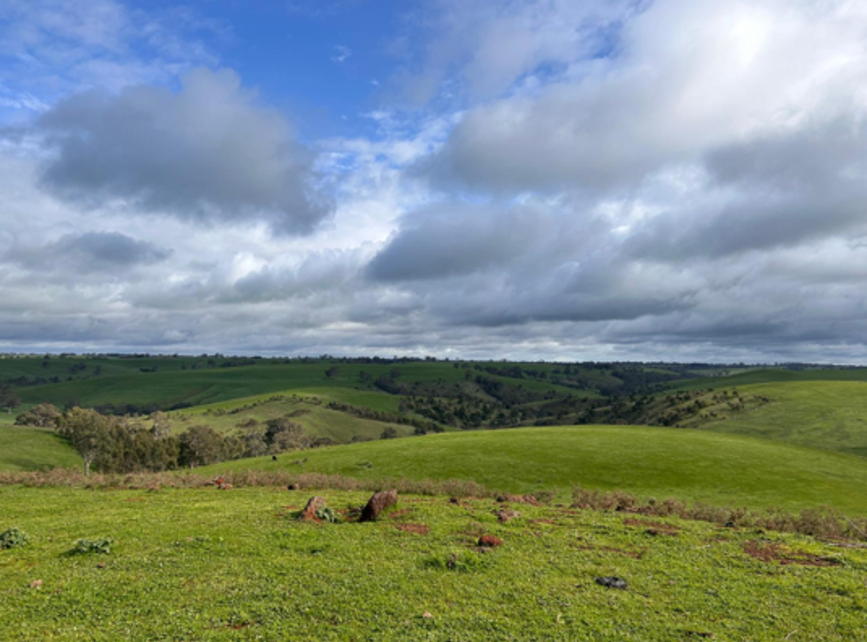 Screenshot 2026 04 30 155224